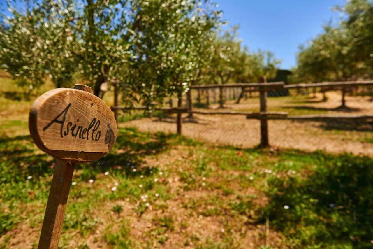 Casale Di Valle Villa Vinci Dış mekan fotoğraf