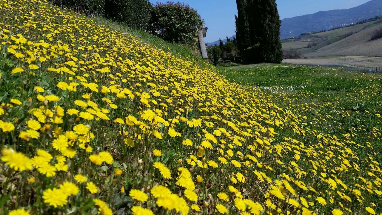 Casale Di Valle Villa Vinci Dış mekan fotoğraf
