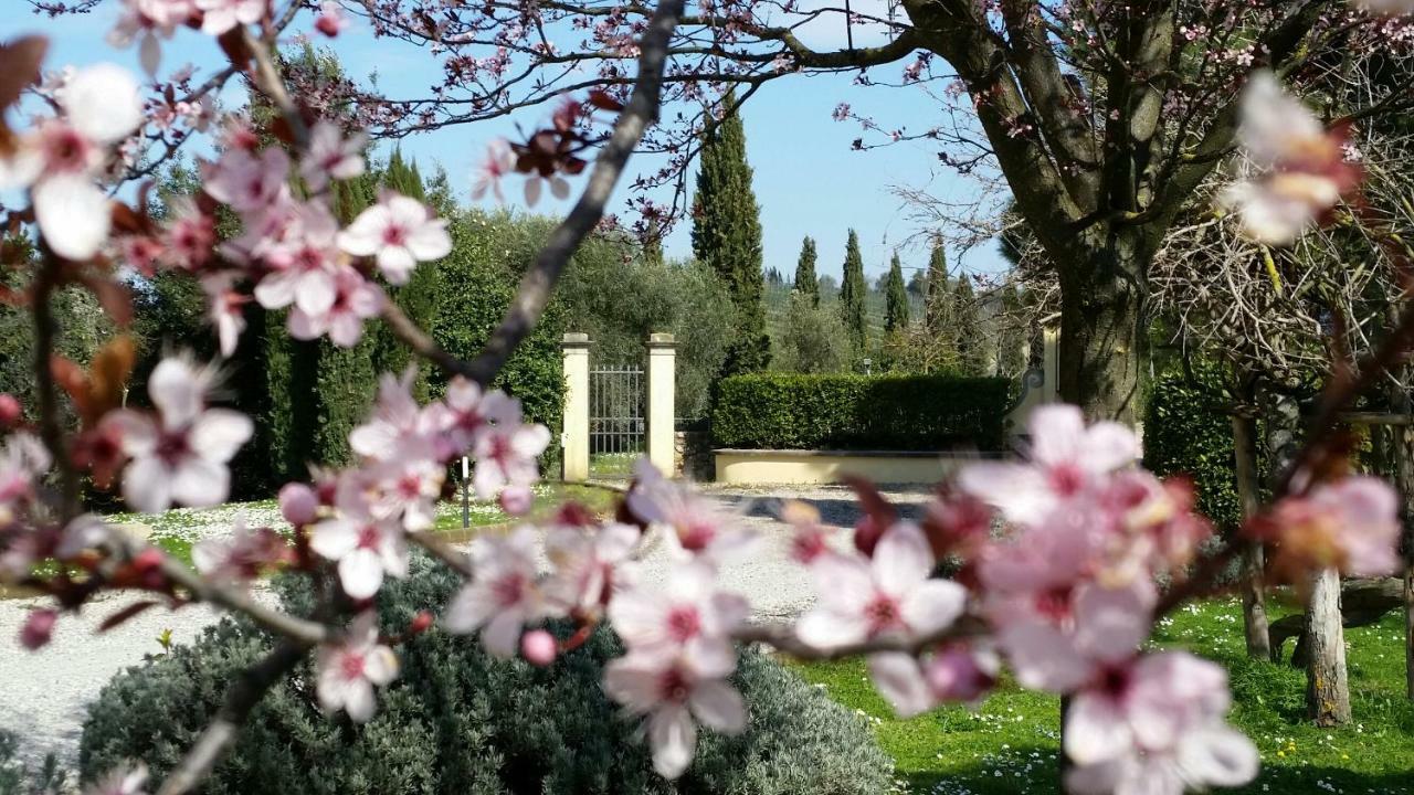 Casale Di Valle Villa Vinci Dış mekan fotoğraf