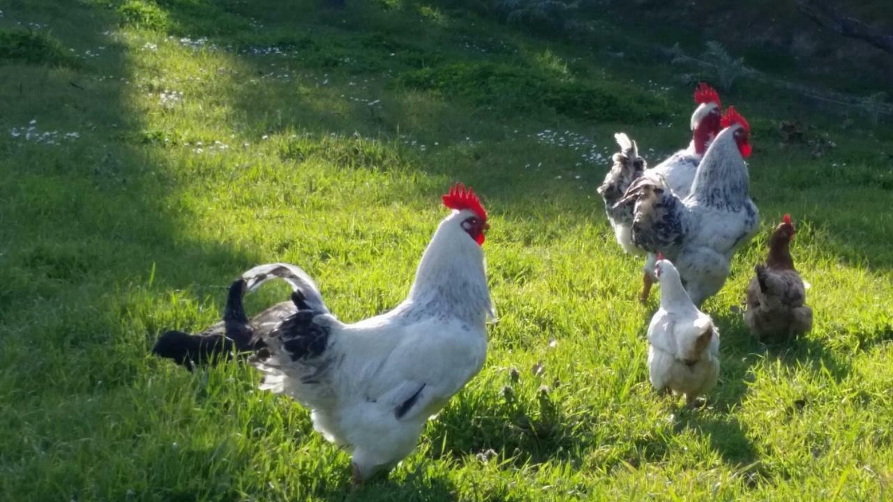 Casale Di Valle Villa Vinci Dış mekan fotoğraf