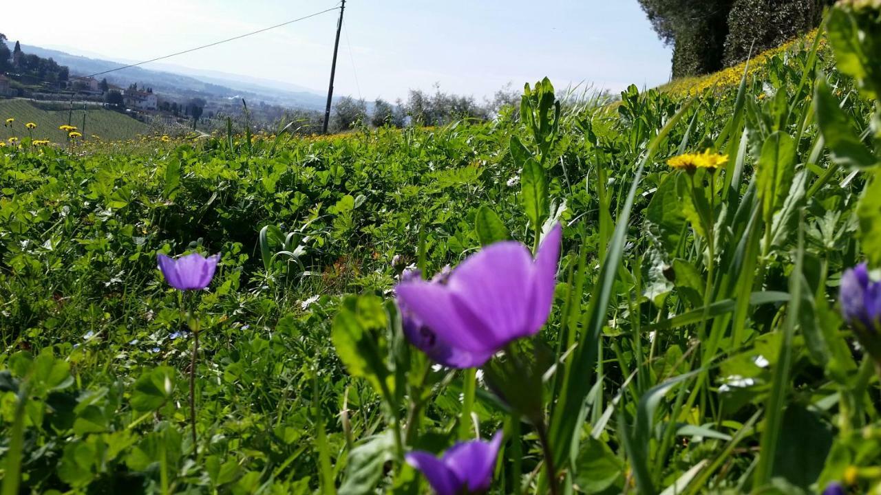 Casale Di Valle Villa Vinci Dış mekan fotoğraf