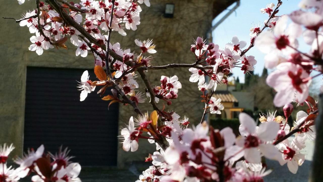 Casale Di Valle Villa Vinci Dış mekan fotoğraf