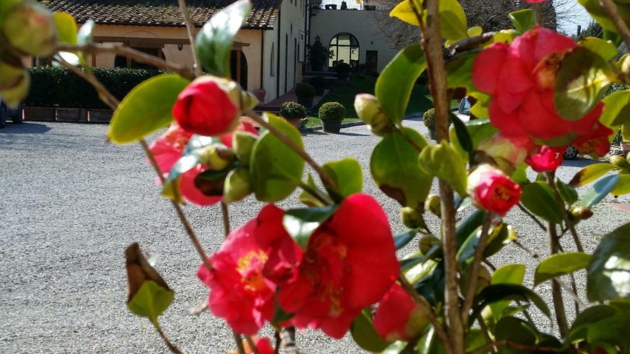 Casale Di Valle Villa Vinci Dış mekan fotoğraf